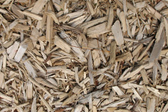 biomass boilers Rooks Nest